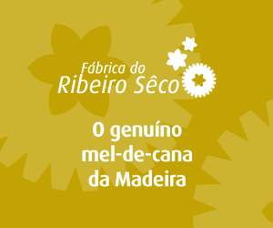 300x250 - Ribeiro Seco